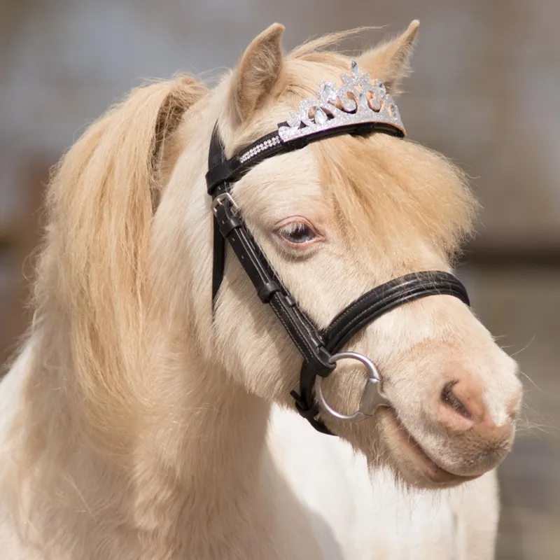 QHP Horse Crown for Bridle - Silver-1