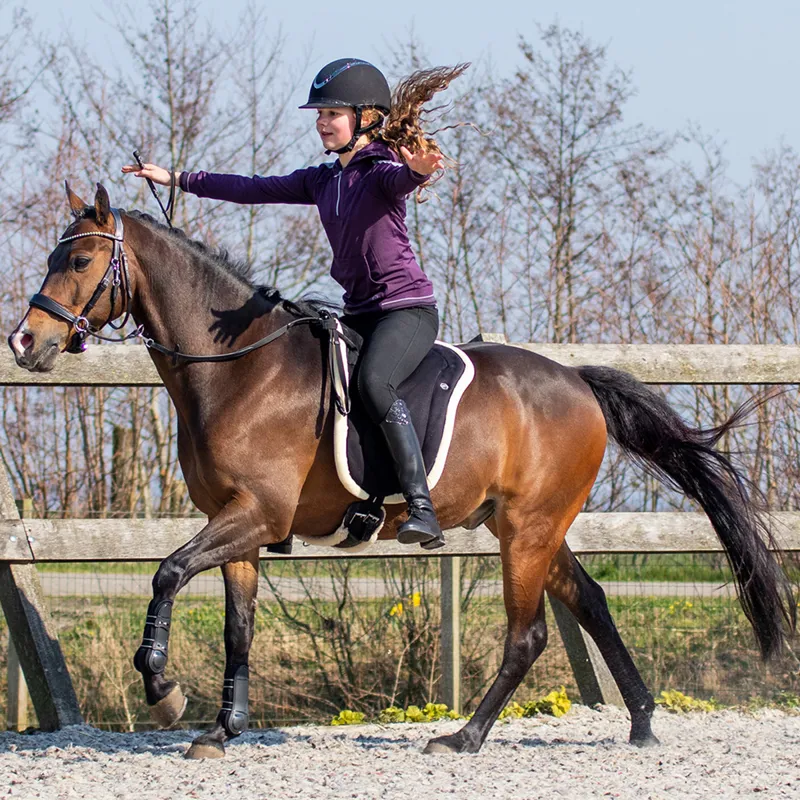 QHP Bareback Pad - Black-4