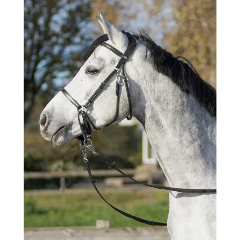 QHP Ceto Anatomical Bitless Bridle - Black-1