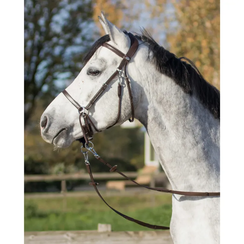 QHP Ceto Anatomical Bitless Bridle - Brown-1