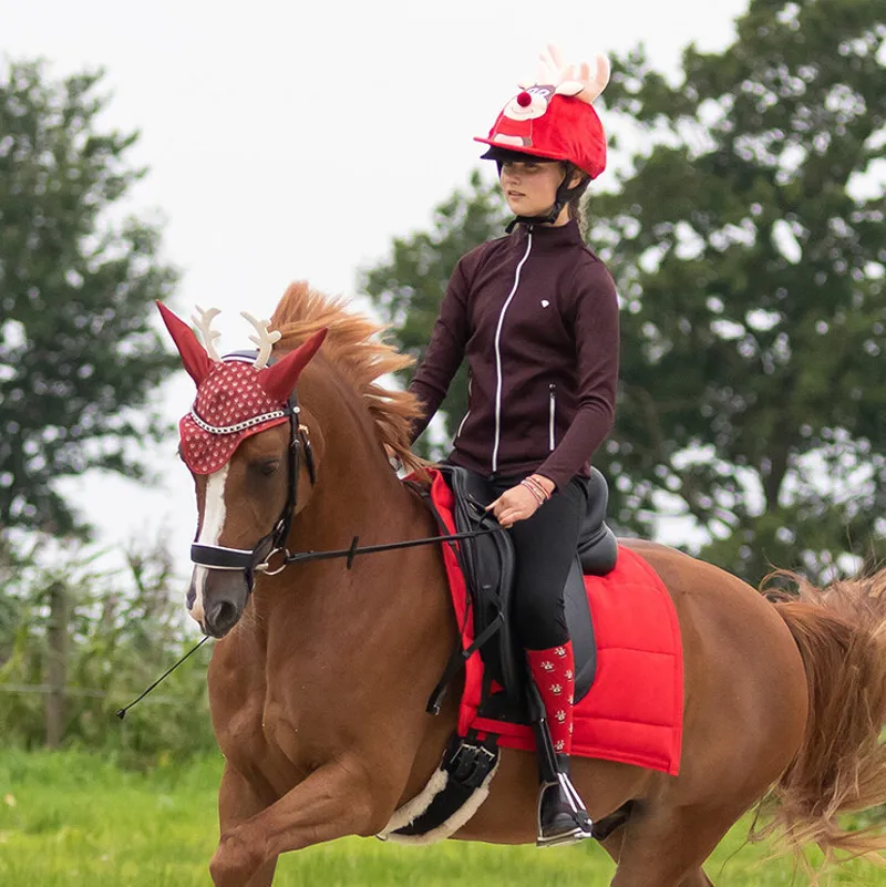 QHP Christmas Ear Net - Rudolph-1