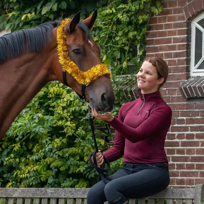 QHP Christmas Garland Headcollar - Black/Gold-1