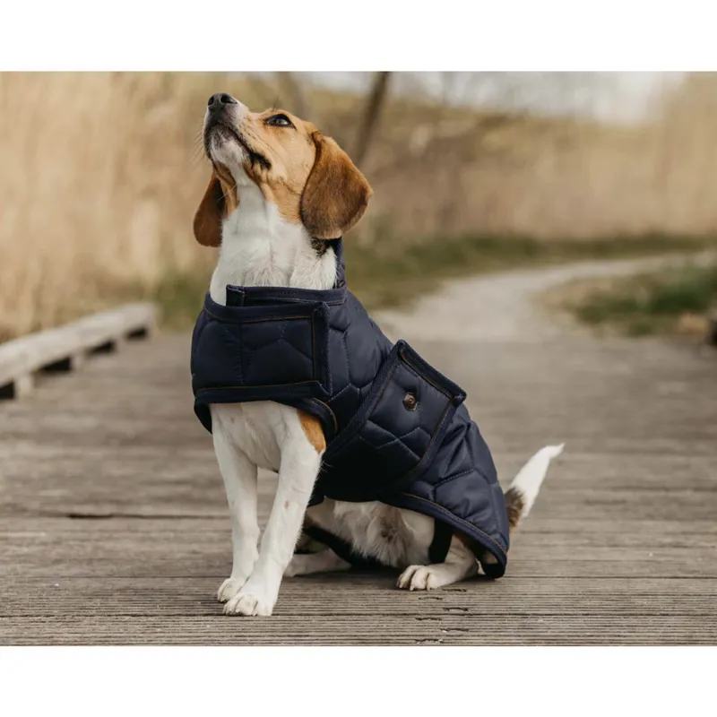 QHP Classy Dog Coat - Navy-4