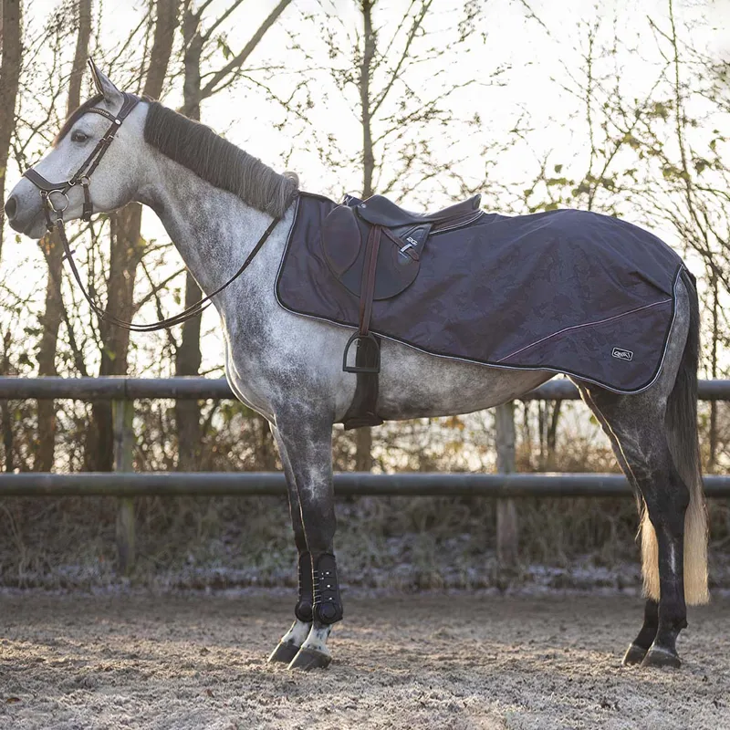 QHP Collection Fleece Exercise Sheet - Mineral