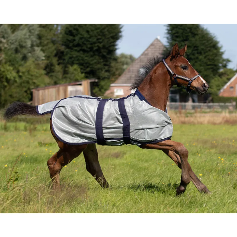 QHP Foal Standard Neck Adjustable Mesh Fly Sheet - Grey-1