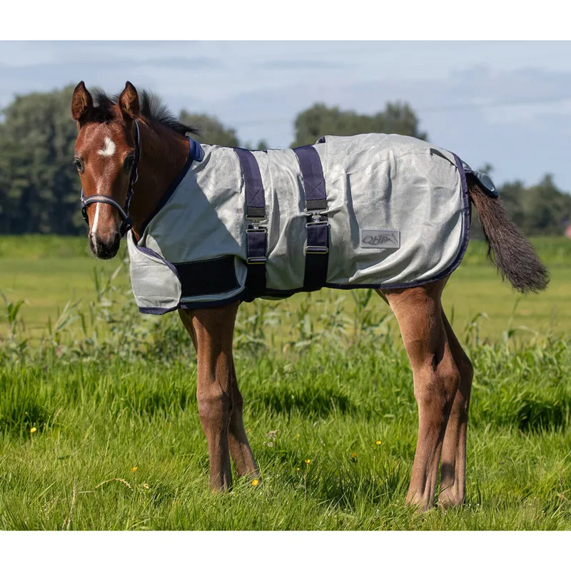 QHP Foal Standard Neck Adjustable Mesh Fly Sheet - Grey-2