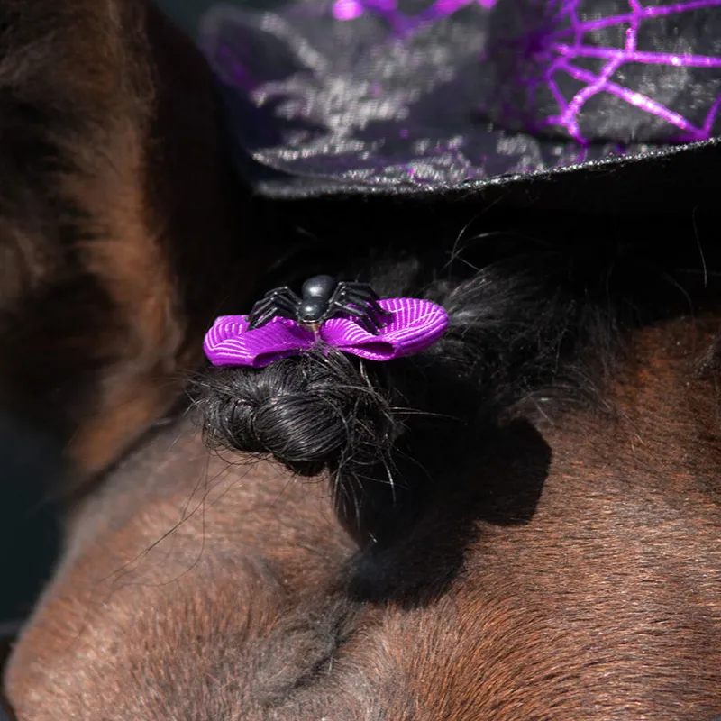 QHP Halloween Show Bows - Spider-1