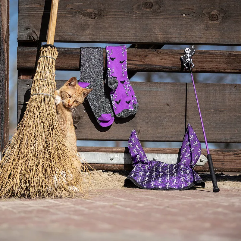 QHP Halloween 65cm Whip - Skeleton-1