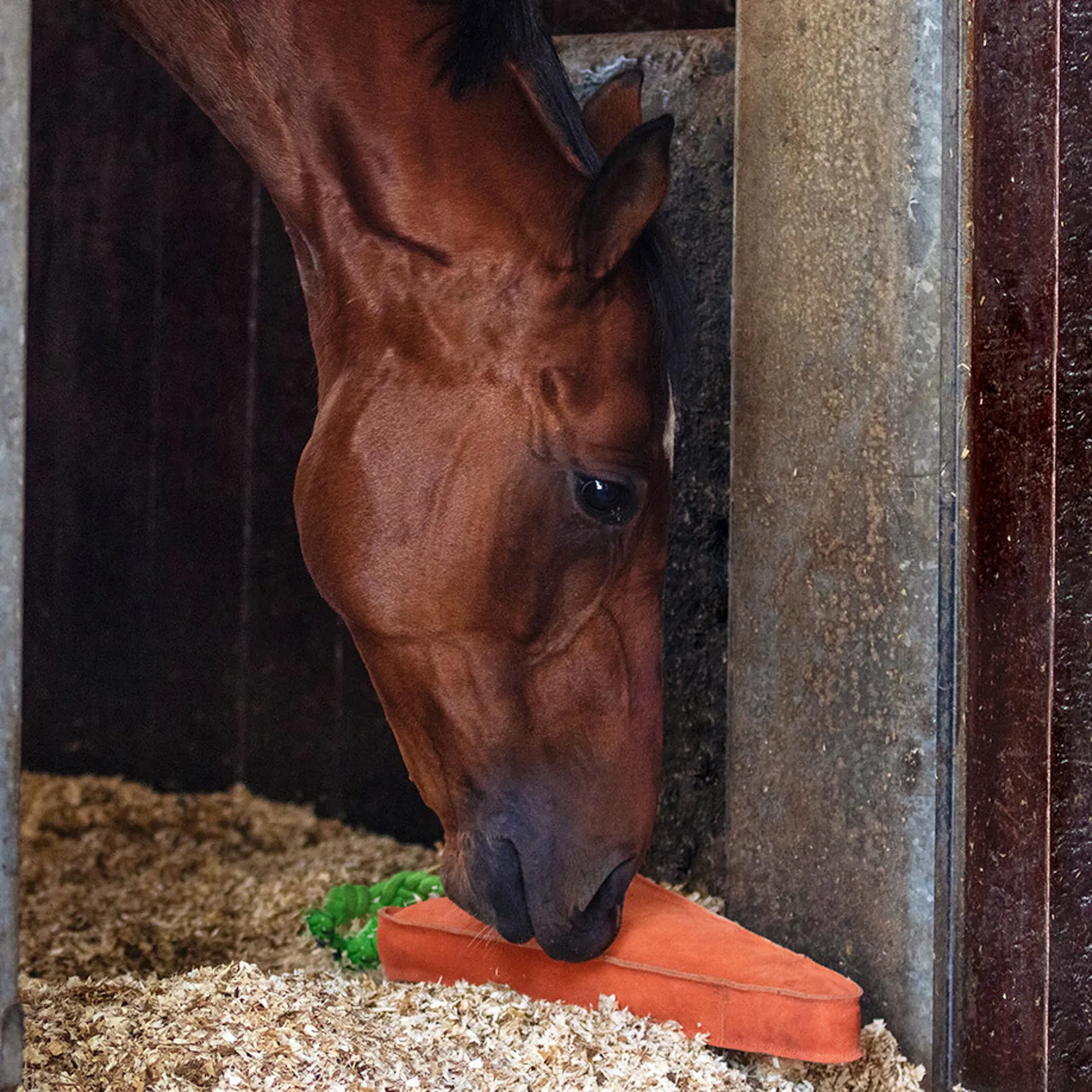 QHP Horse Toy XL Carrot