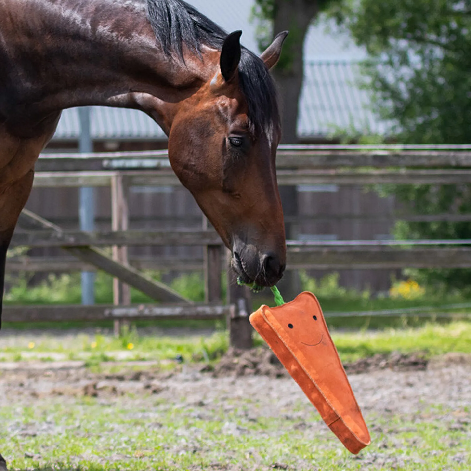 QHP Horse Toy XL Carrot