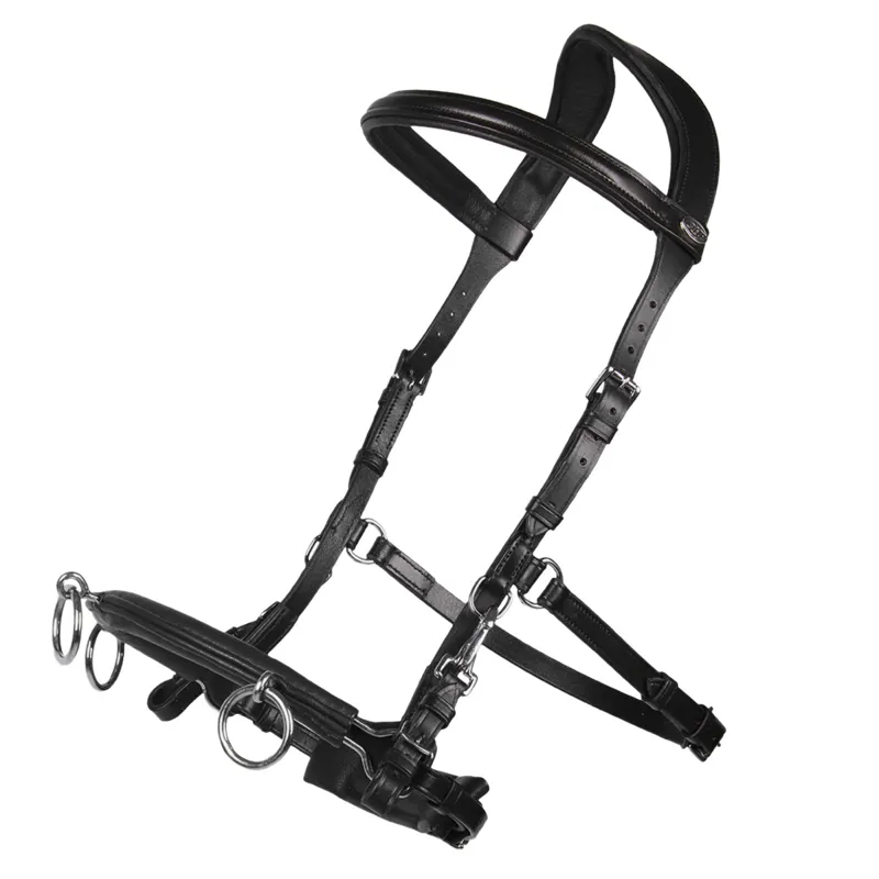 QHP Leather Anatomical Lunge Cavesson Black