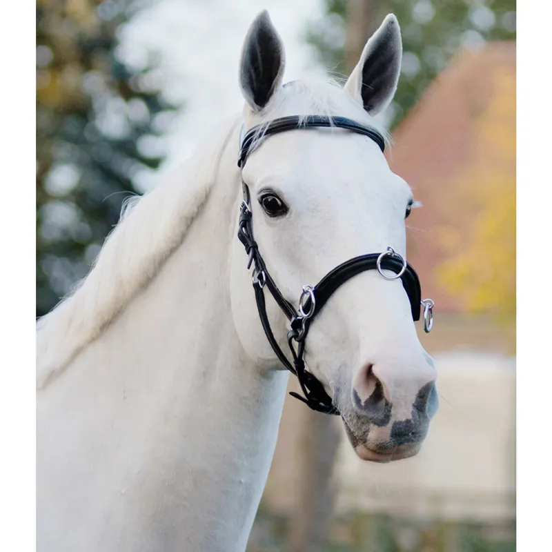 QHP Leather Anatomical Lunge Cavesson - Black-2