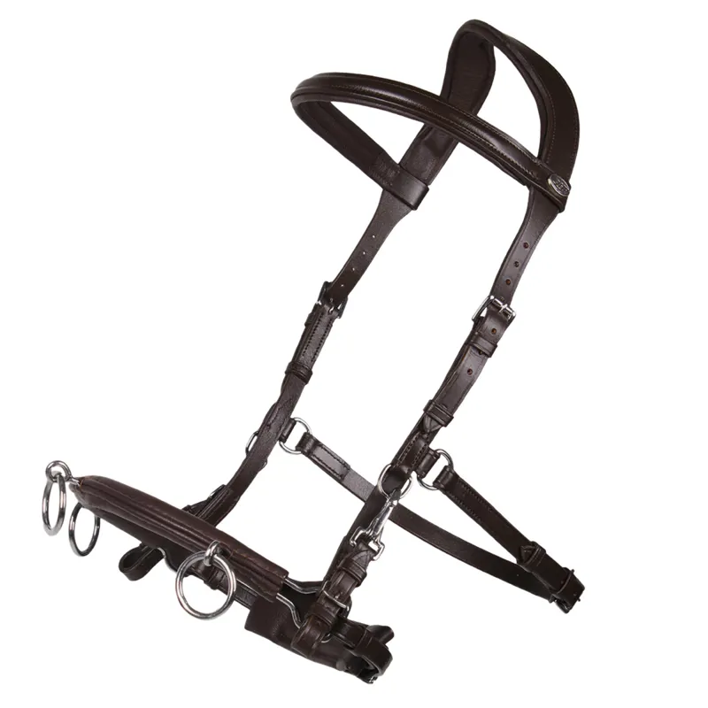 QHP Leather Anatomical Lunge Cavesson Brown