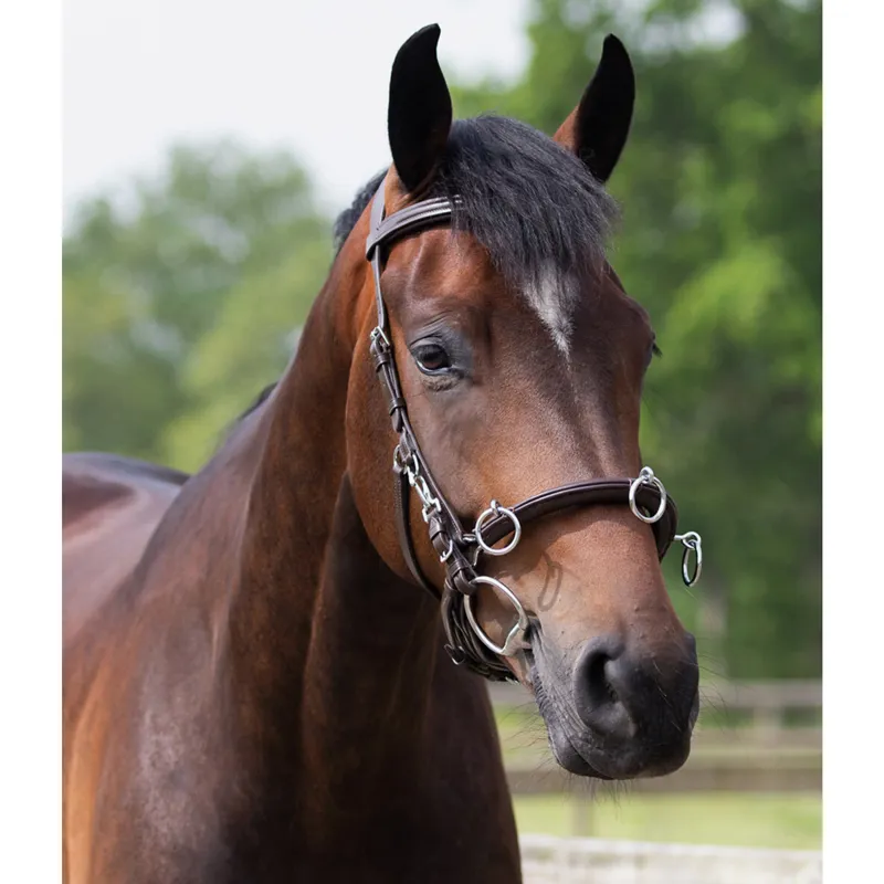 QHP Leather Anatomical Lunge Cavesson - Brown-2