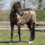 QHP Sweet-Itch Combo Neck Fly Rug - Brown