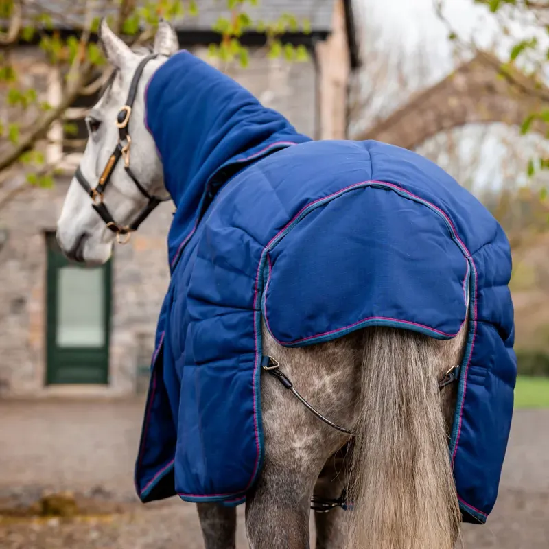 Rambo Optimo Plus 200g Medium Stable Rug - Navy/Burgundy/Teal/Navy-3