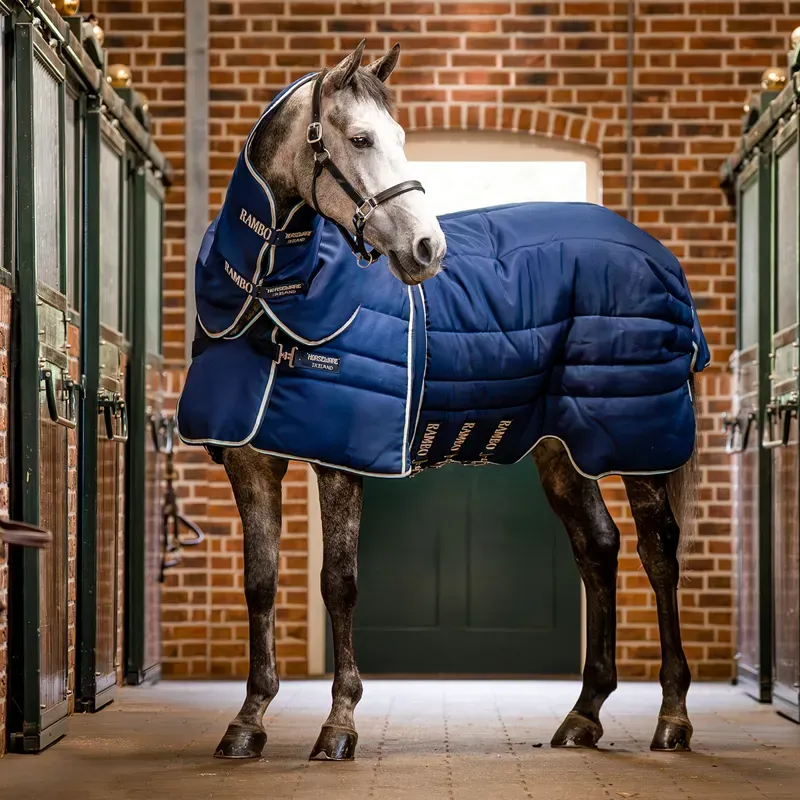 Rambo Optimo Plus 400g Heavy Stable Rug - Navy/Beige/Baby Blue/Navy