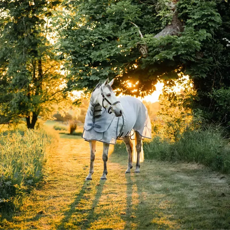 Rambo Optimo Protector Plus Fly Rug - Silver/Thunderstorm Grey-4