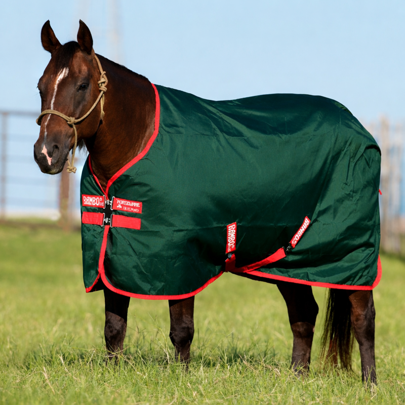 Rambo Original 1000D 0g Standard Neck Turnout Rug - Green/Red-1