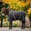Rambo 200g Stable Rug - Black/Thunderstorm Grey/Silver
