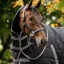 Rambo 200g Stable Hood - Black/Thunderstorm Grey/Silver