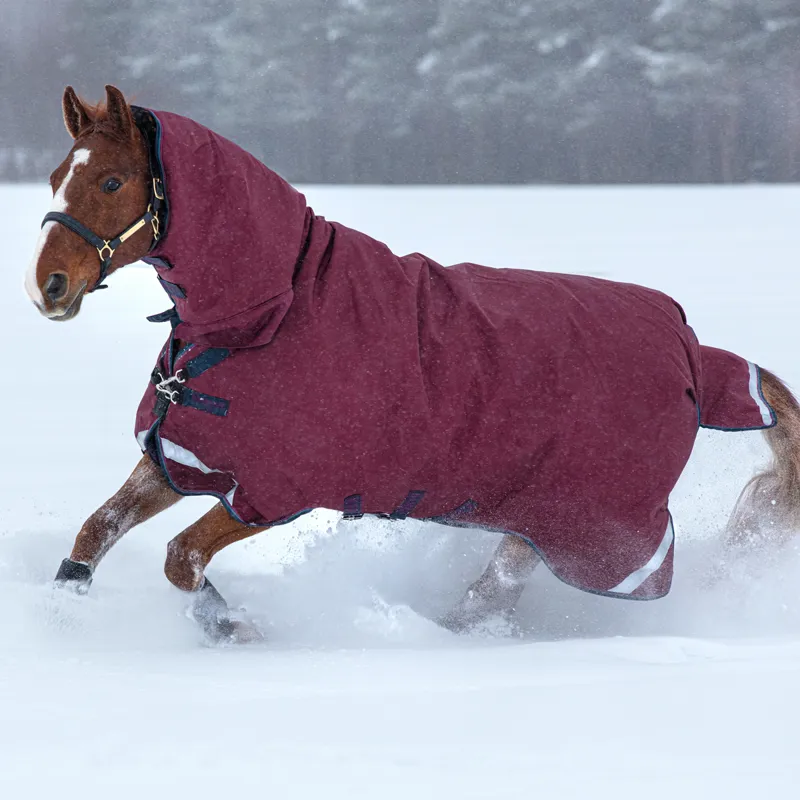 Rambo All-In-One 200g 1000D Turnout Rug - Burgundy/Teal/Navy - 5ft6-1