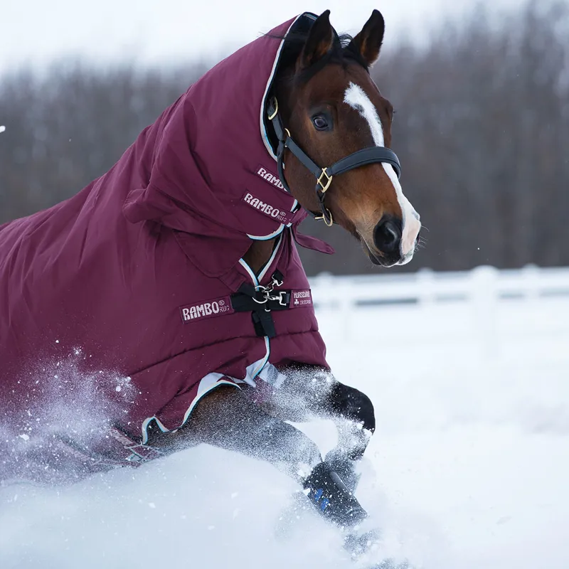 Rambo All-In-One 400g 1000D Turnout Rug - Burgundy/Duck Egg/Black-2