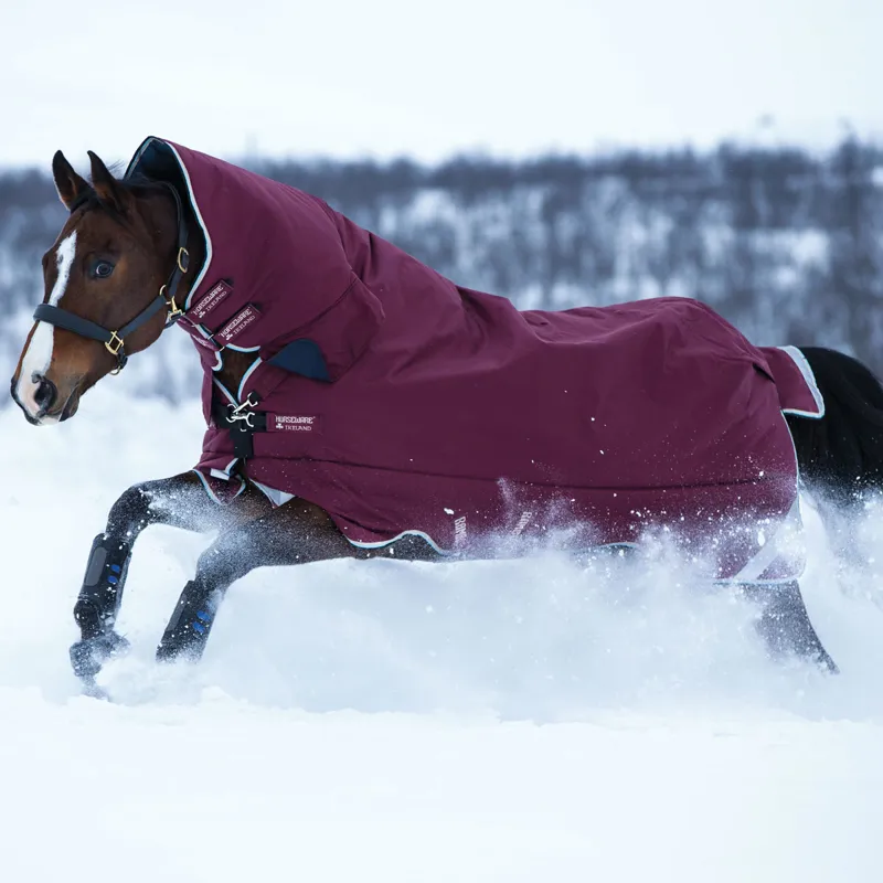 Rambo All-In-One 400g 1000D Turnout Rug - Burgundy/Duck Egg/Black-1