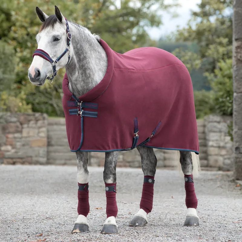 Rambo Cosy Standard Neck Fleece Rug - Burgundy/Burgundy/Teal/Navy