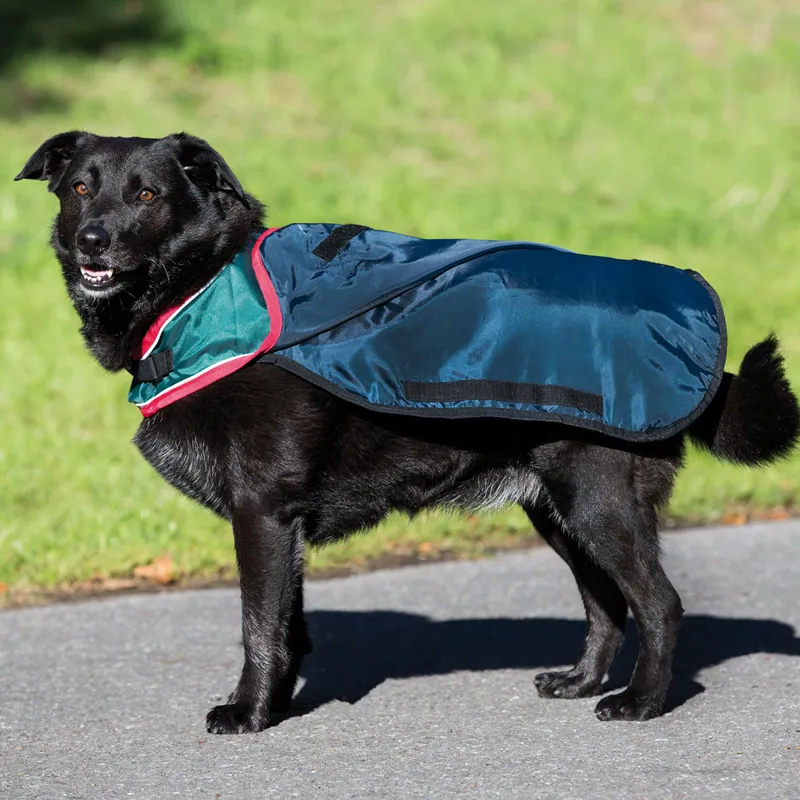 Horseware Rambo Waterproof Dog Coat with Liner Navy Red