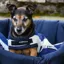 Rambo Deluxe Fleece Dog Coat - Whitney Stripe Navy