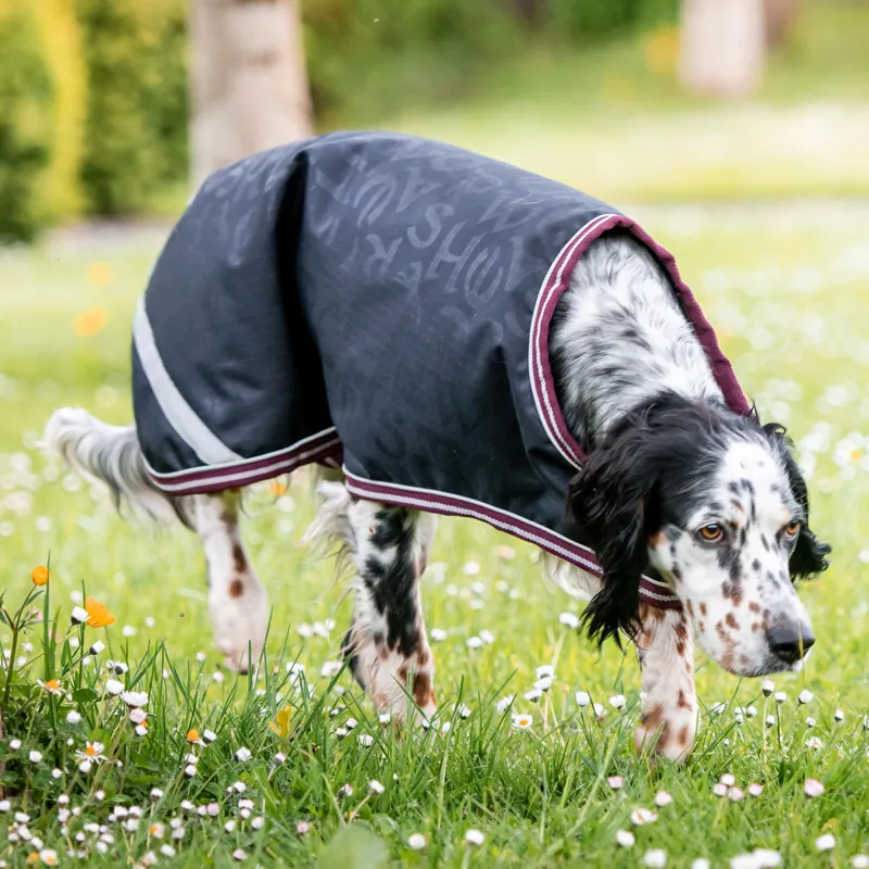 Ripstop dog deals jacket