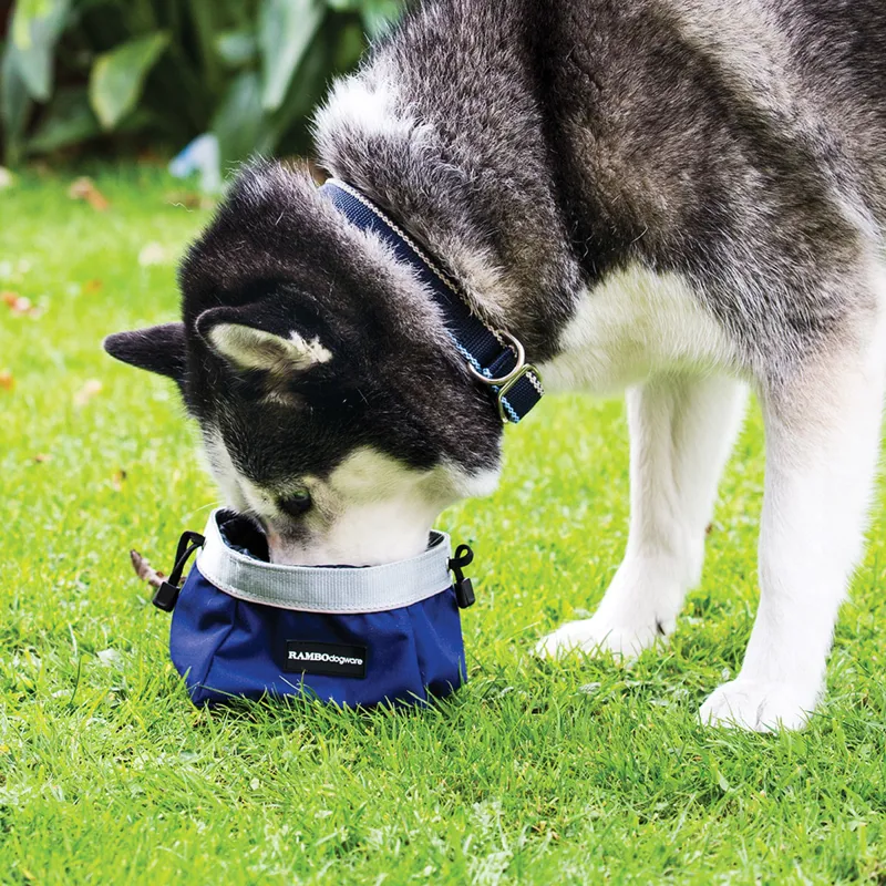 Rambo Dog Feed Bowl - Various Colours