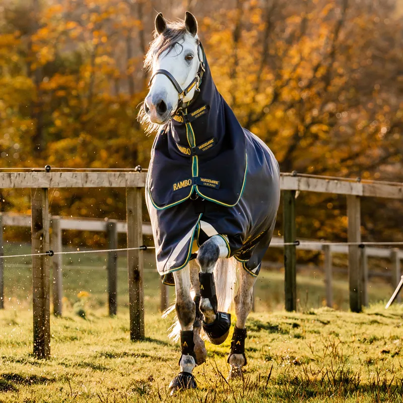 Rambo Duo Force 2.0 100g Turnout Rug with 2 Eco Liners Bundle - Navy-1
