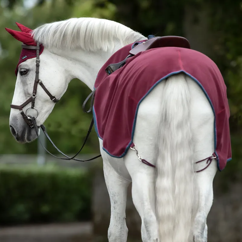 Rambo Waterproof Fleece Competition Exercise Sheet - Burgundy/Teal-1