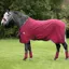 Rambo Helix Disc Closure Stable Sheet - Burgundy/Burgundy/Teal/Navy