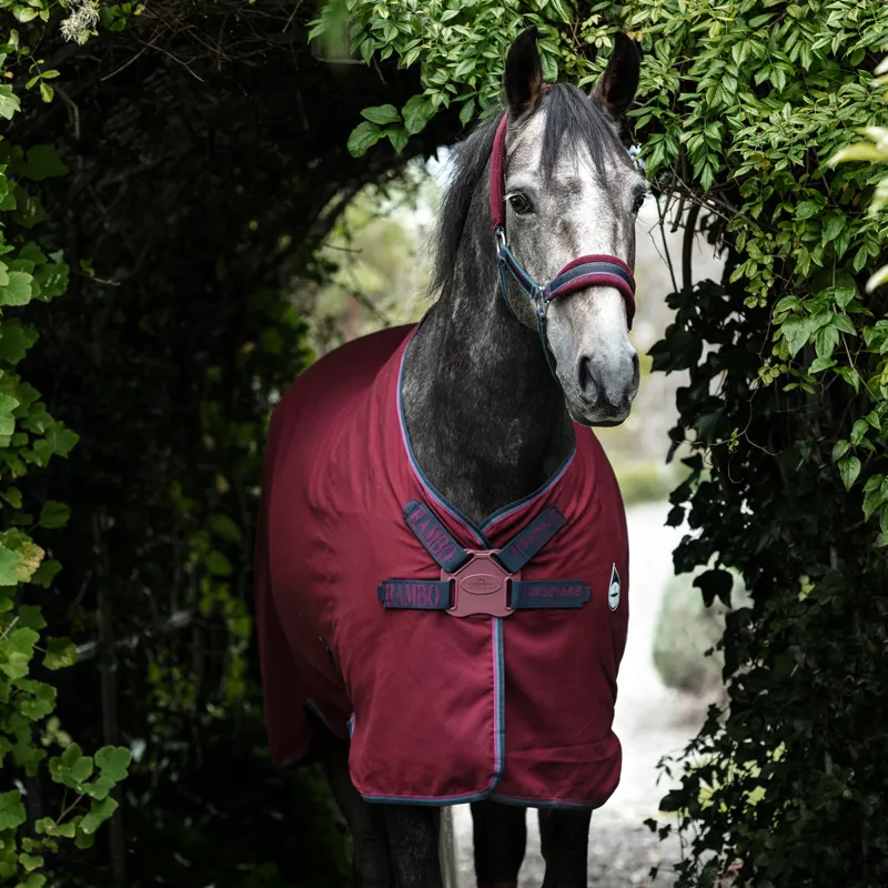 Rambo Helix Disc Closure Stable Sheet - Burgundy/Burgundy/Teal/Navy-1