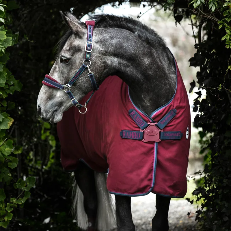 Rambo Helix Disc Closure Stable Sheet - Burgundy/Burgundy/Teal/Navy-2