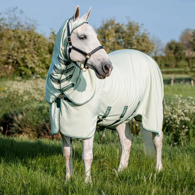 Horseware sweet itch rug shop