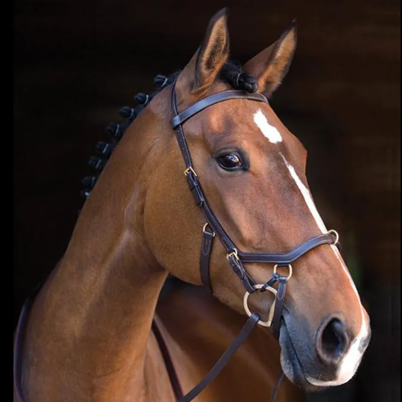 Rambo Micklem Bridle Spare Bit Clips - 4pk-1