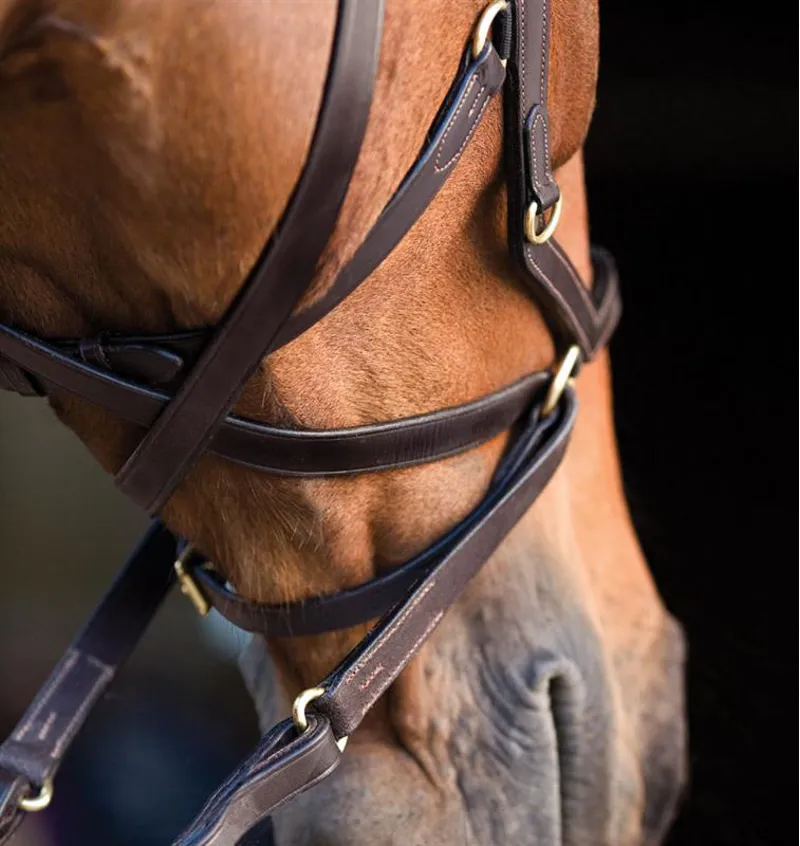 Rambo Micklem Multibridle - Black-5