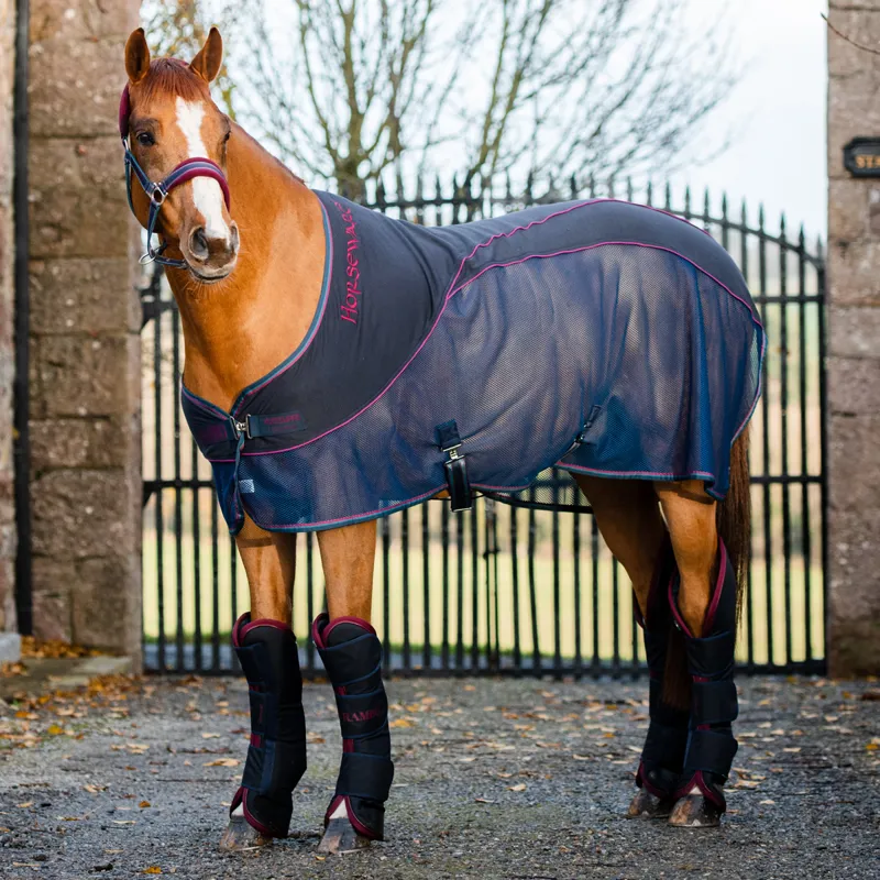 Rambo Sport Cooler with Fleece/Net - Navy/Burgundy/Teal/Navy