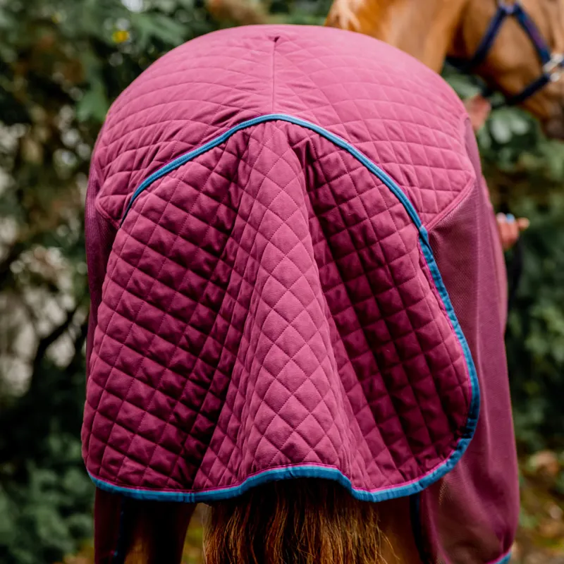 Rambo Travel Series Rug V1 - Burgundy/Teal-5