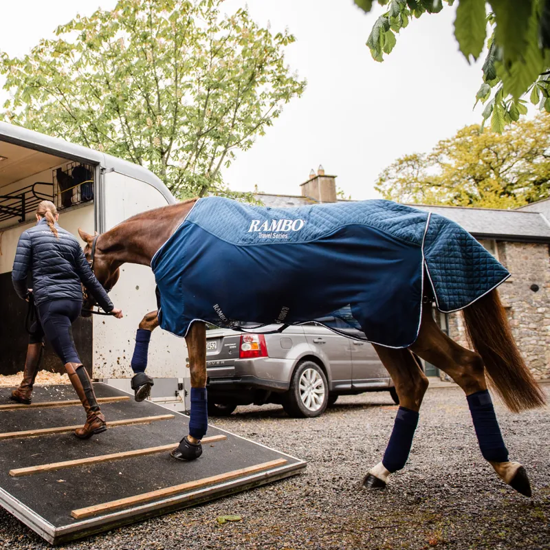 Rambo Travel Series Rug - Navy/Silver-4