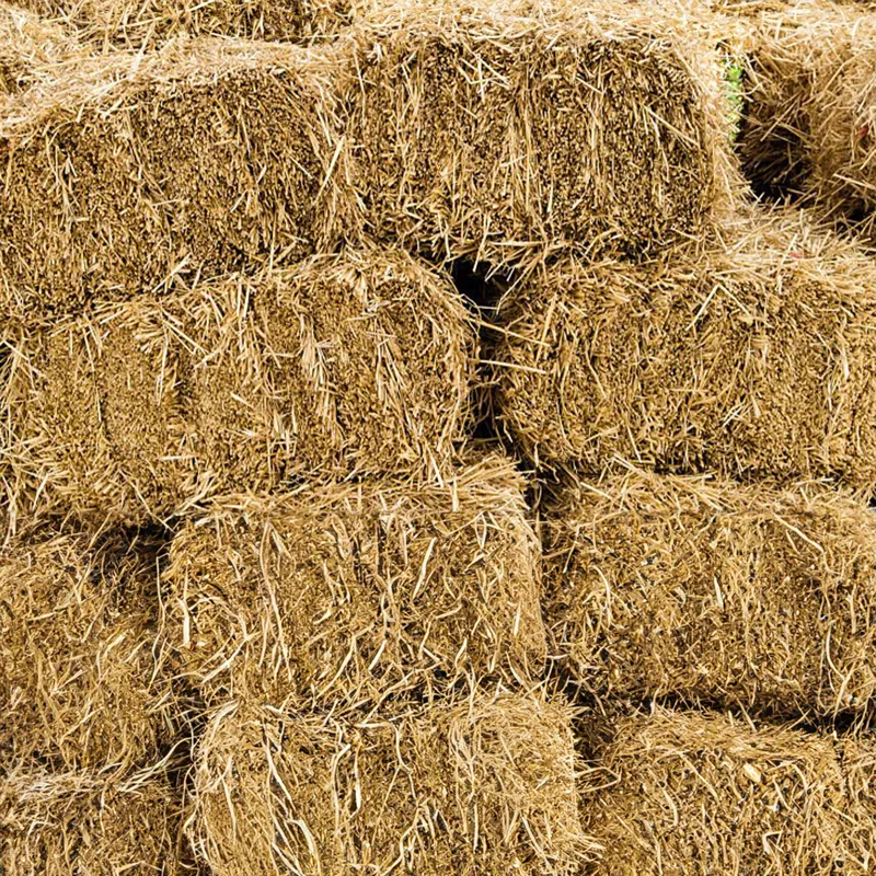 Ranjit Farming Wheat Straw