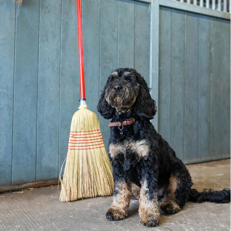 Red Gorilla Large Corn Broom - Red-2