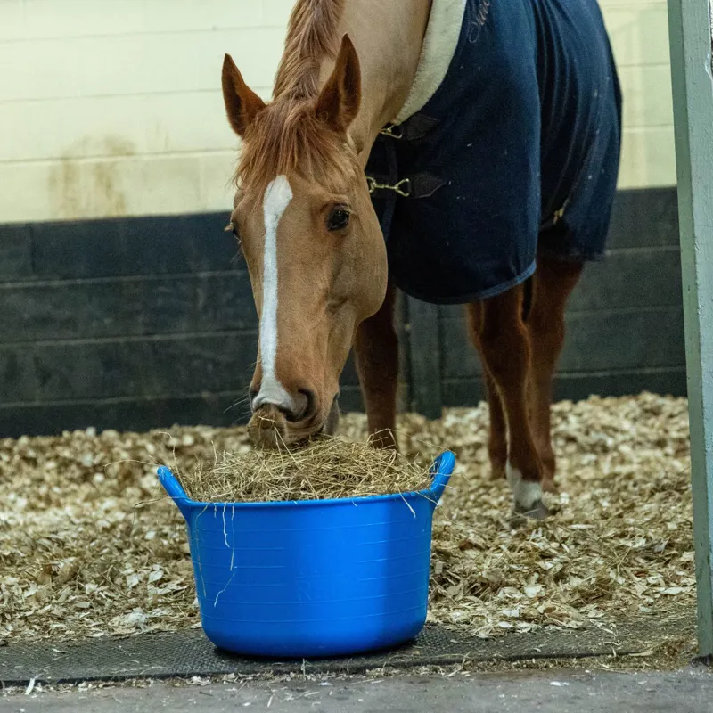 Red Gorilla Plas C2 Power Tub - Blue-2