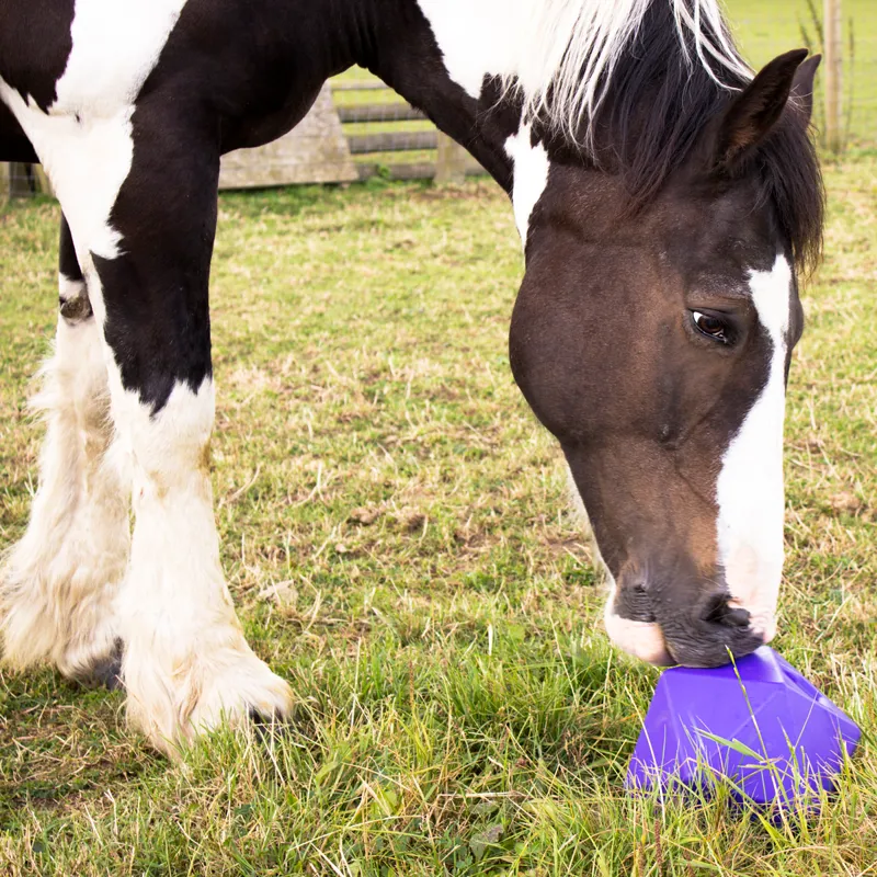 Red Gorilla Dripfeed Treat Ball - Purple-2