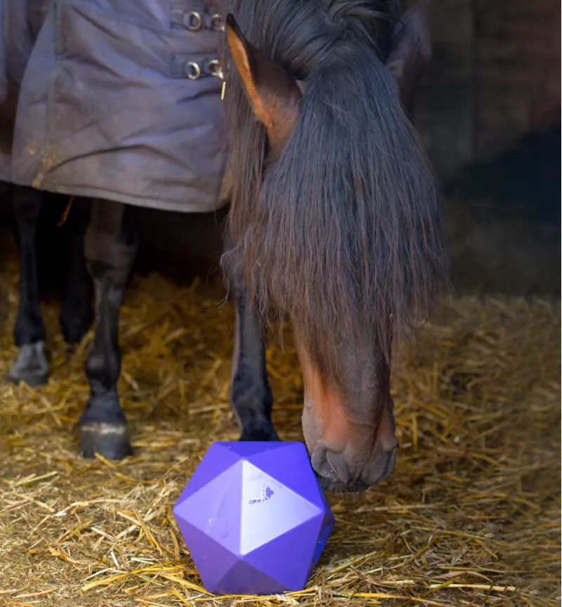 Red Gorilla Dripfeed Treat Ball - Purple-3