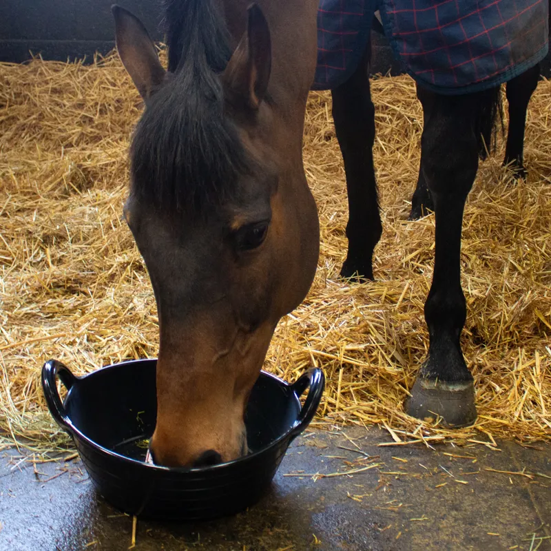 Red Gorilla Plas Small Skip 11L - Black-1